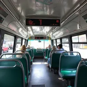 transporte público gratuito aos domingos