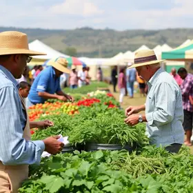Feira da Agricultura Familiar