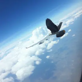 avião em Campinas