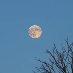 lua de sangue